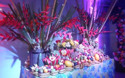 Baile do Hawaí 2014