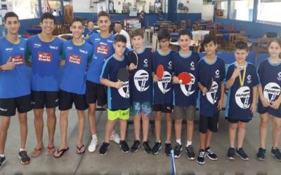 Competições de tênis de mesa